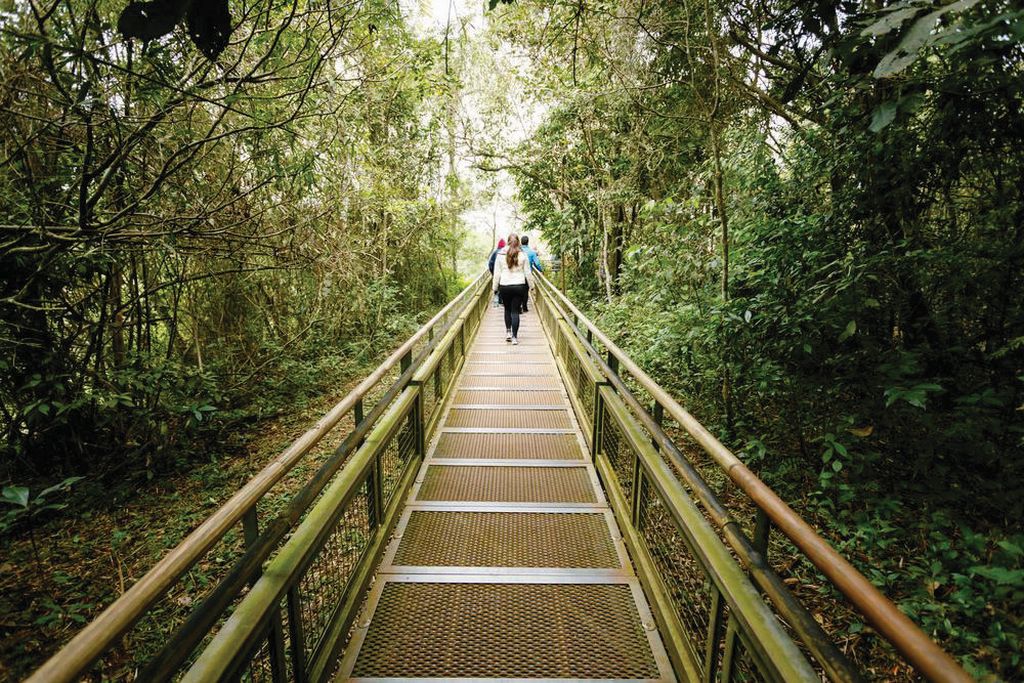 viajeros y turistas en iguazu