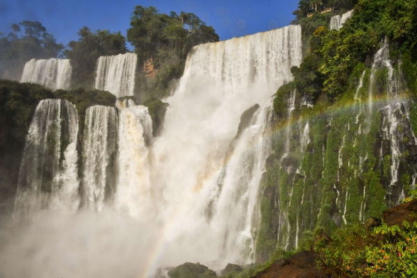 Excursiones en Cataratas - Parque Argentino + Brasilero, Parque de las Aves y Wanda